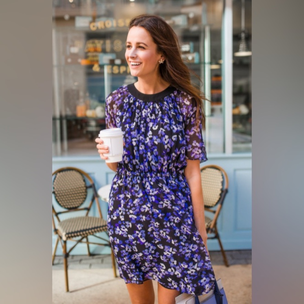 Kate Spade Hydrangea Chiffon Mini Dress Size Small